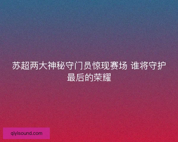 苏超两大神秘守门员惊现赛场 谁将守护最后的荣耀 苏超两大神秘守门员惊现赛场 谁将守护最后的荣耀