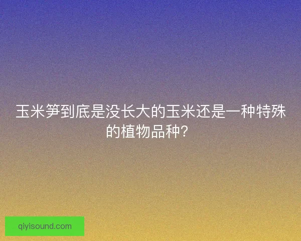 玉米笋到底是没长大的玉米还是一种特殊的植物品种? 玉米笋到底是没长大的玉米还是一种特殊的植物品种?